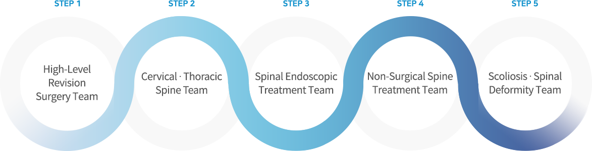 High-Level Revision Surgery Team, Cervical ∙ Thoracic Spine Team, Spinal Endoscopic Treatment Team, Non-Surgical Spine Treatment Team, Scoliosis ∙ Spinal Deformity Team