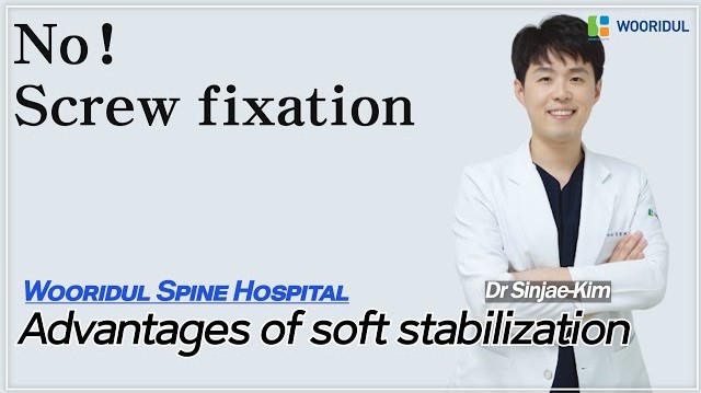 Comparison of soft stabilization and spinal screw fixation/Wooridul Spine Hospital