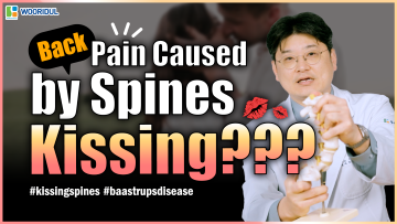 The Spines Kissing Together?